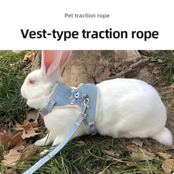 Cute Small Pet Harness & Leash set brand new in grey, adjustable breathable - Picture 2 of 14